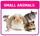 SMALL ANIMALS